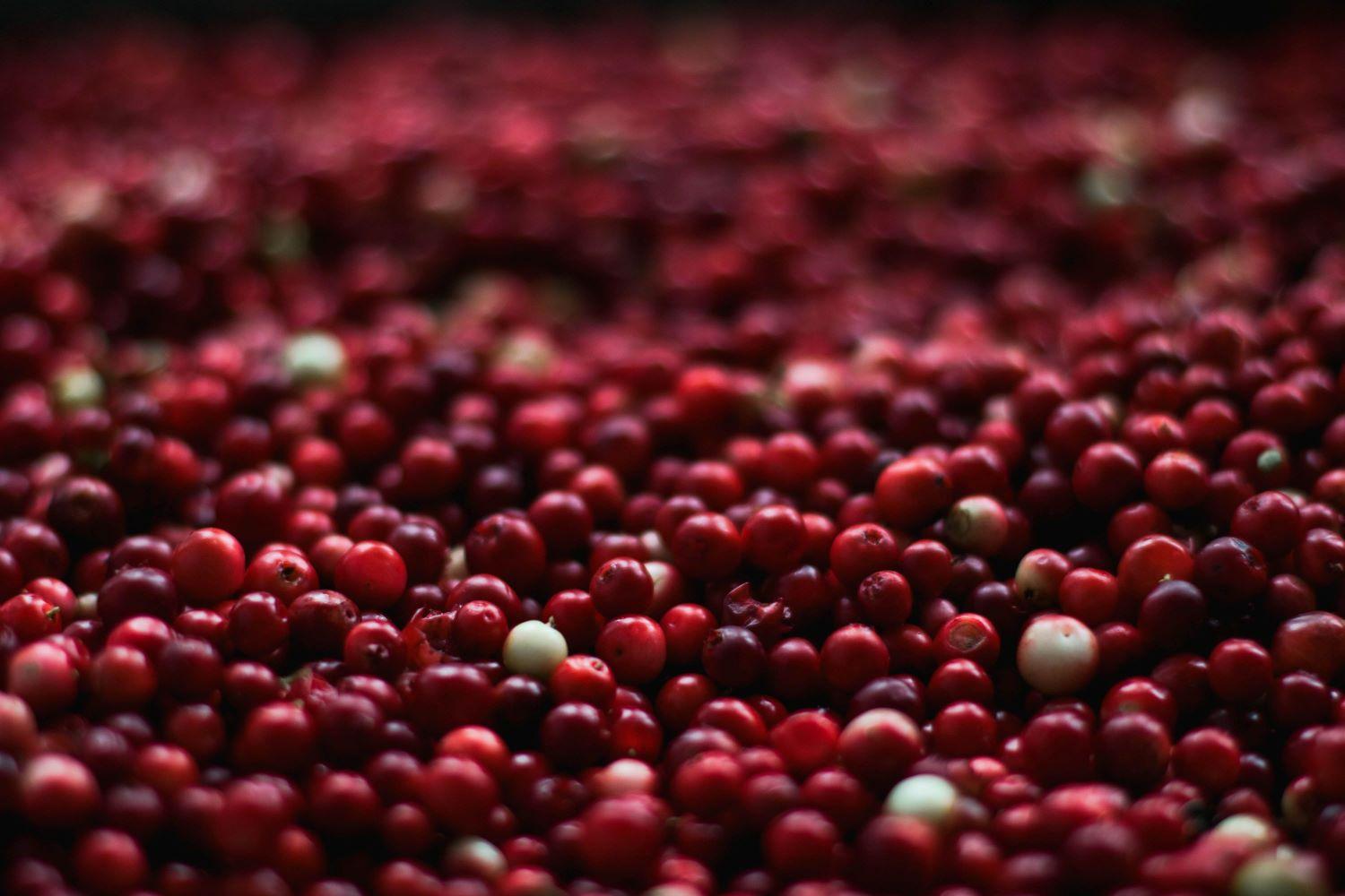 Cranberry - natuerliche Helfer